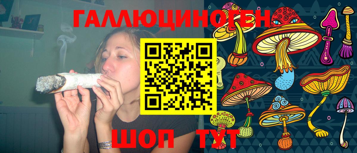 Кинель  Псилоцибиновые грибы MAGIC MUSHROOMS  Вход с VPN 